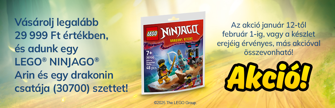 LEGO NINJAGO - Arin és egy drakonin csatája (30700) akció!