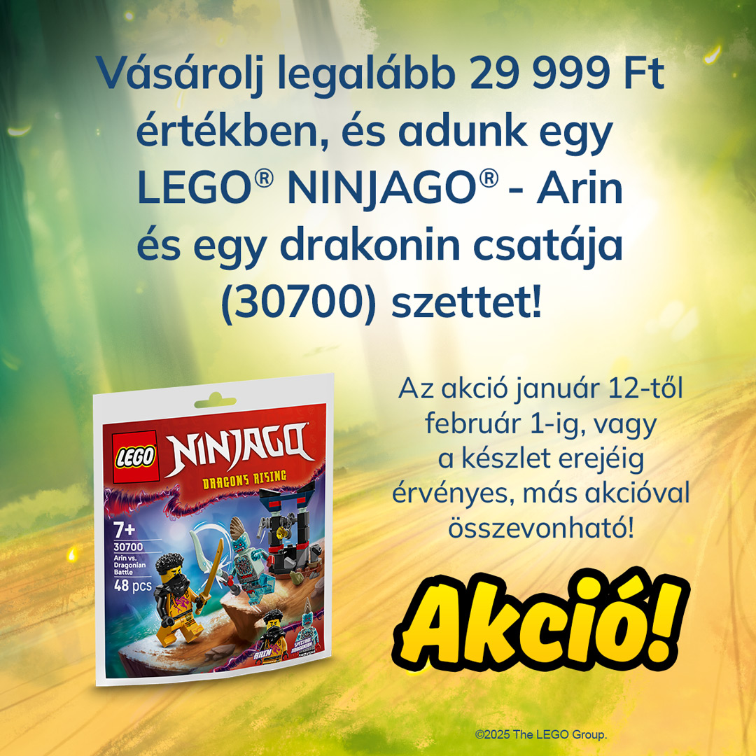LEGO NINJAGO - Arin és egy drakonin csatája (30700) akció!