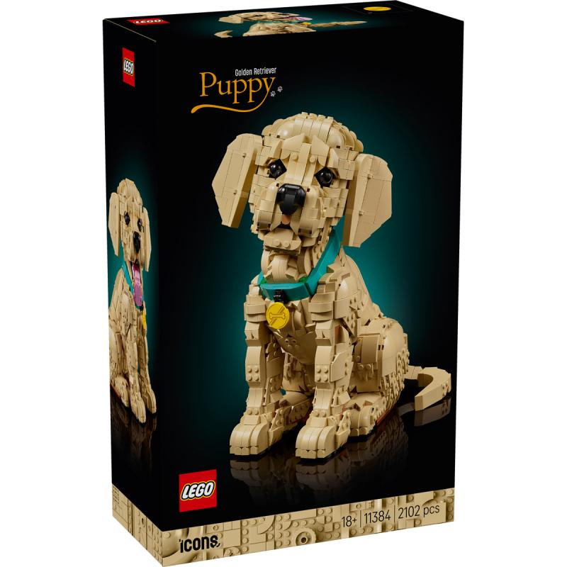 LEGO® Icons - Golden retriever kutyus (11384)