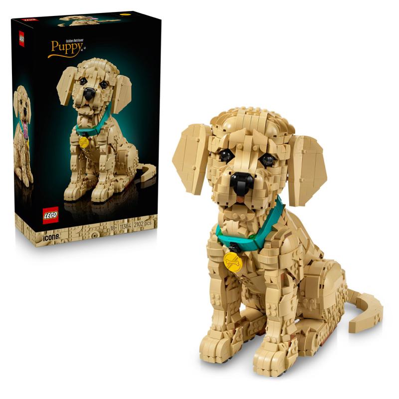 LEGO® Icons - Golden retriever kutyus (11384)