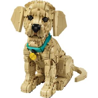 LEGO® Icons - Golden retriever kutyus (11384)