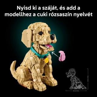 LEGO® Icons - Golden retriever kutyus (11384)