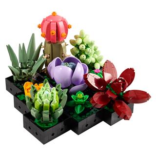 LEGO 10309 - LEGO Icons - Pozsgások