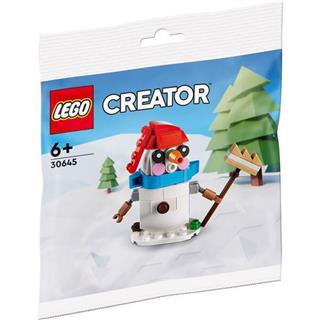 LEGO 30645 - LEGO Creator - Hóember