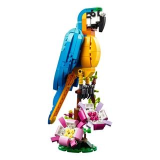 LEGO 31136 - LEGO Creator - Egzotikus papagáj