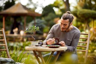 LEGO® Icons - Bonsai fa (10281)