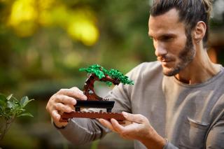 LEGO® Icons - Bonsai fa (10281)
