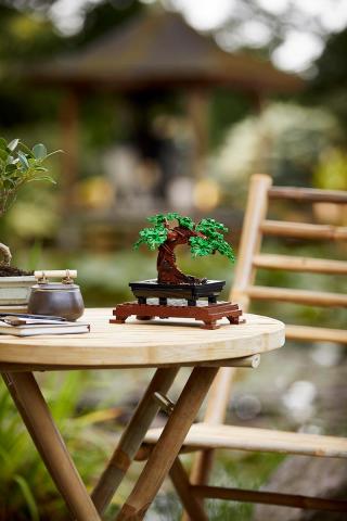 LEGO® Icons - Bonsai fa (10281)