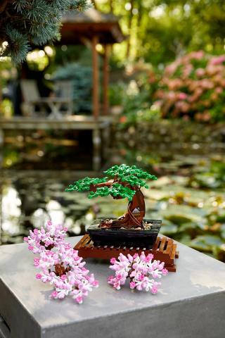 LEGO® Icons - Bonsai fa (10281)