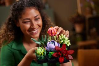 LEGO® Icons - Pozsgások (10309)