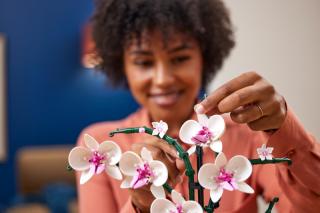 LEGO® Icons - Orchidea (10311)