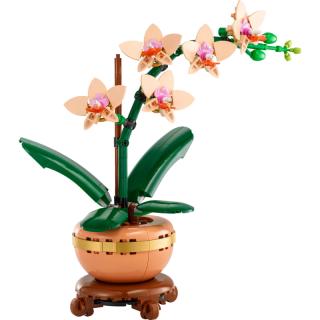 LEGO® Botanicals - Mini orchidea (10343)