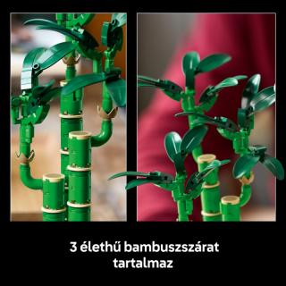 LEGO® Botanicals - Szerencsebambusz (10344)