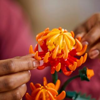 LEGO® Icons - Krizantém (10368)