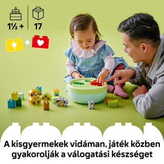 LEGO® DUPLO - Formaválogató: Kutyusház (10441) 