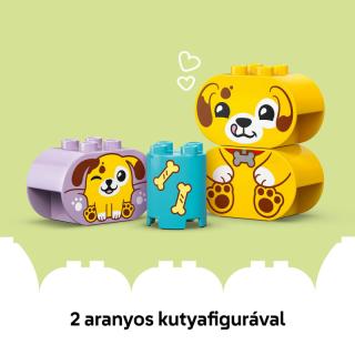 LEGO® DUPLO - Formaválogató: Kutyusház (10441) 