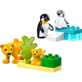 LEGO® DUPLO - Állatcsaládok a vadvilágban: Pingvinek és oroszlánok (10442)  