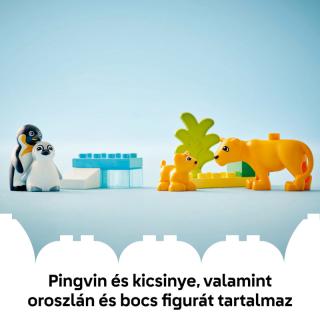 LEGO® DUPLO - Állatcsaládok a vadvilágban: Pingvinek és oroszlánok (10442)  