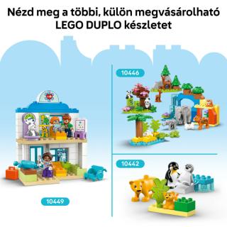 LEGO® DUPLO - Mentőautó és mentősofőr (10447)  