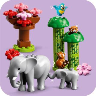 LEGO® DUPLO - Ázsia vadállatai (10974)