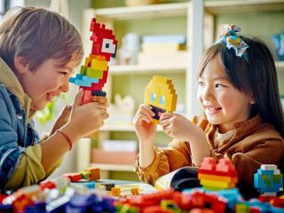 LEGO® Classic - Sok-sok kocka (11030)