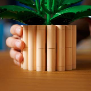 LEGO® Botanicals - Vitorlavirág (11504)  