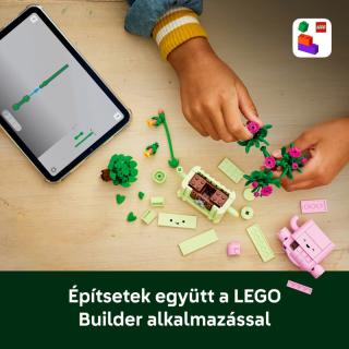 LEGO® Botanicals - Hintázó növények (11506)  