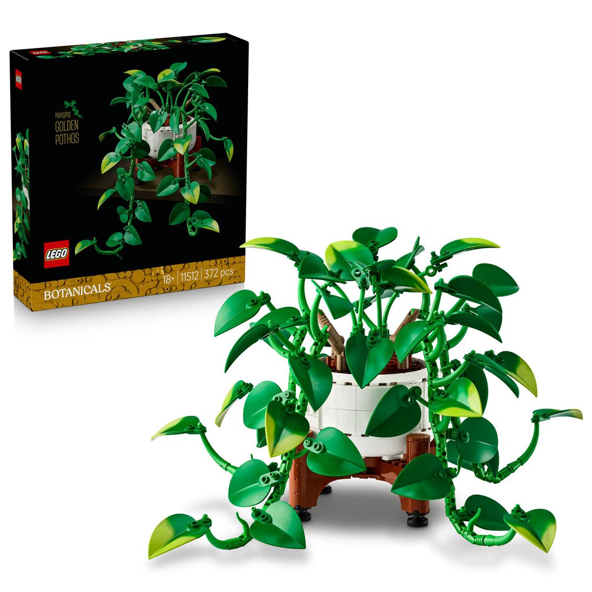 LEGO® Botanicals - Szobai futóka (11512)  