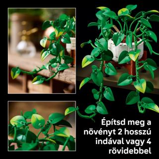 LEGO® Botanicals - Szobai futóka (11512)  