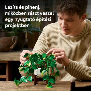 LEGO® Botanicals - Szobai futóka (11512)  