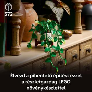 LEGO® Botanicals - Szobai futóka (11512)  