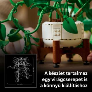 LEGO® Botanicals - Szobai futóka (11512)  