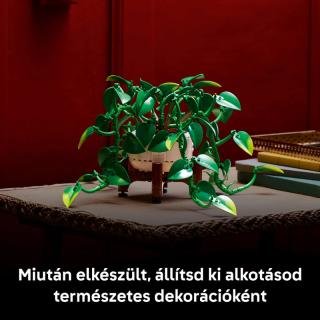 LEGO® Botanicals - Szobai futóka (11512)  