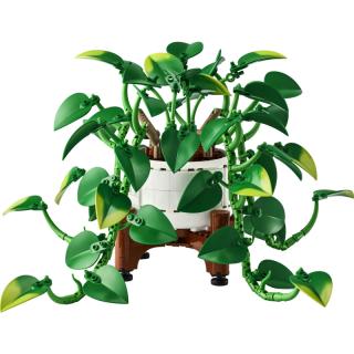 LEGO® Botanicals - Szobai futóka (11512)  