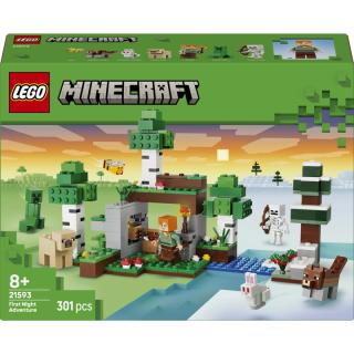 LEGO® Minecraft - Az első éjszaka kalandjai (21593)
