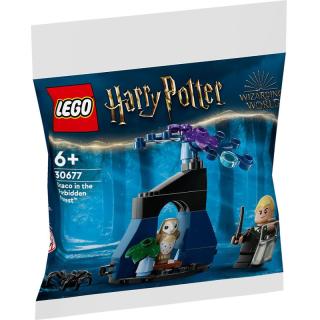 LEGO® Harry Potter - Draco a Tiltott Rengetegben (30677)