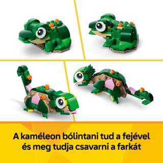LEGO® Creator - Teknős egy vízililiom-virággal (31377)
