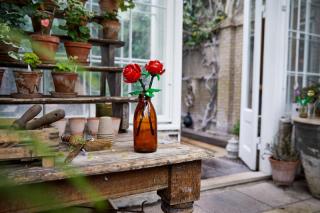 LEGO® Iconic - Rózsák (40460)