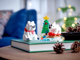LEGO® Iconic - Téli jegesmedvék (40571)