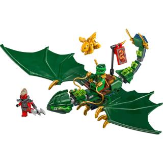 LEGO® NINJAGO - Lloyd zöld, erdei sárkánya (71829)