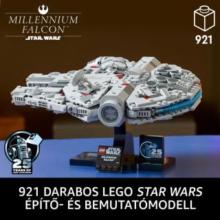 LEGO® Star Wars - Millennium Falcon™ (75375)