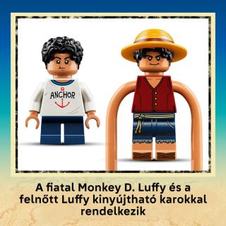 LEGO® One Piece - Gumigyümölcs (75647)