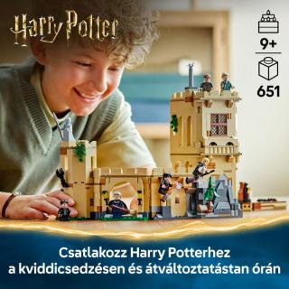 LEGO® Harry Potter - Roxfort™ kastély: Repülésórák (76447)