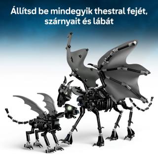 LEGO® Harry Potter - Thesztrálcsalád (76458)