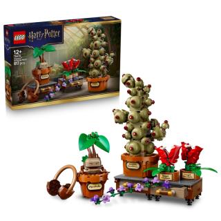 LEGO® Harry Potter - A Roxfort™-i gyógynövénytanóra növényei (76474)