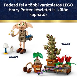 LEGO® Harry Potter - Norbert, Hagrid kissárkánya (76477)