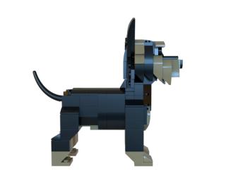 MOCverzum - Yorki (MOC202605)